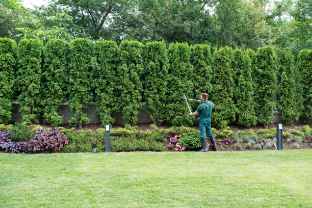 Best Grass Overseeding  in Prospect Park, NJ