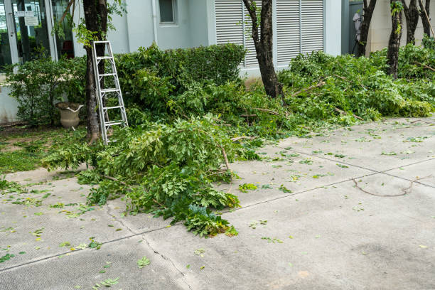 Best Lawn Mowing  in Prospect Park, NJ